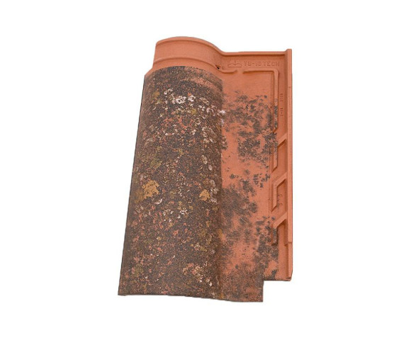 Керамическая черепица Tejas Borja TB 10 Tech