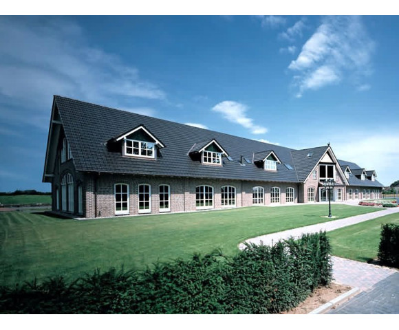 Керамичесая черепица Nelskamp R 10