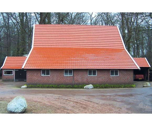 Керамичесая черепица Nelskamp D 15