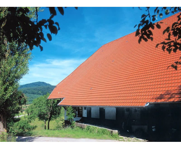 Керамичесая черепица Nelskamp D 15