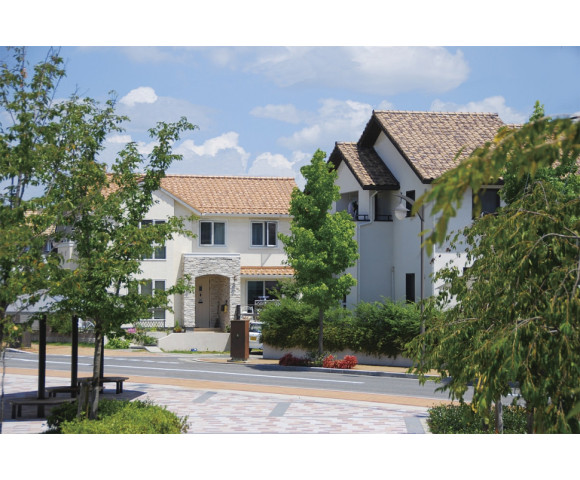 Керамическая черепица Марусо Калифорния Newcera ECO белая береза