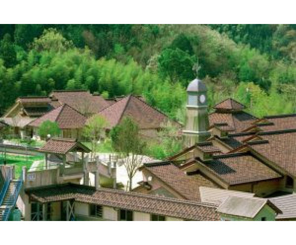 Керамическая черепица Марусо Самурай TS-Roof матовый коричневый