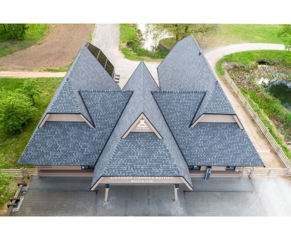 Гибкая черепица Технониколь Shinglas Кантри Мичиган