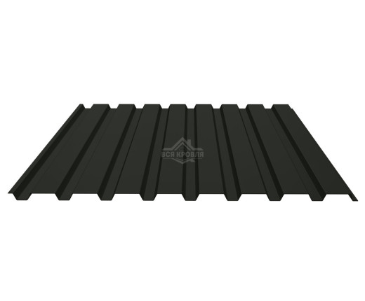 Профнастил стеновой С-20А 0.45 Texture RAL 9005